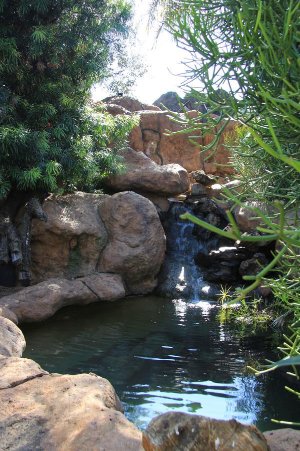 Kassaboera Lodge Hartbeespoort Bagian luar foto